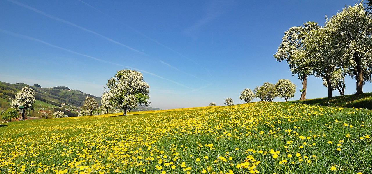 Release 4.50 - Neue Monatsansicht in der Leistungsplanung