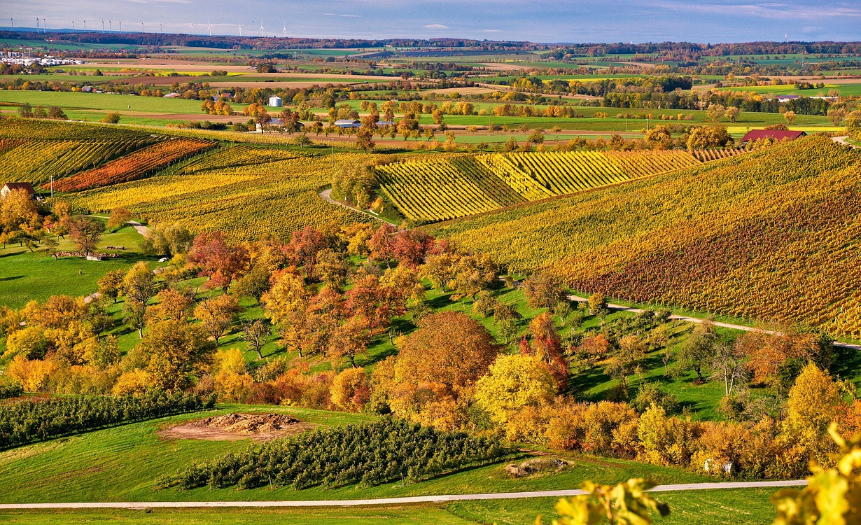 Release 4.54 -  Digitale Unterschrift pro Besuch und viele weitere Neuerungen