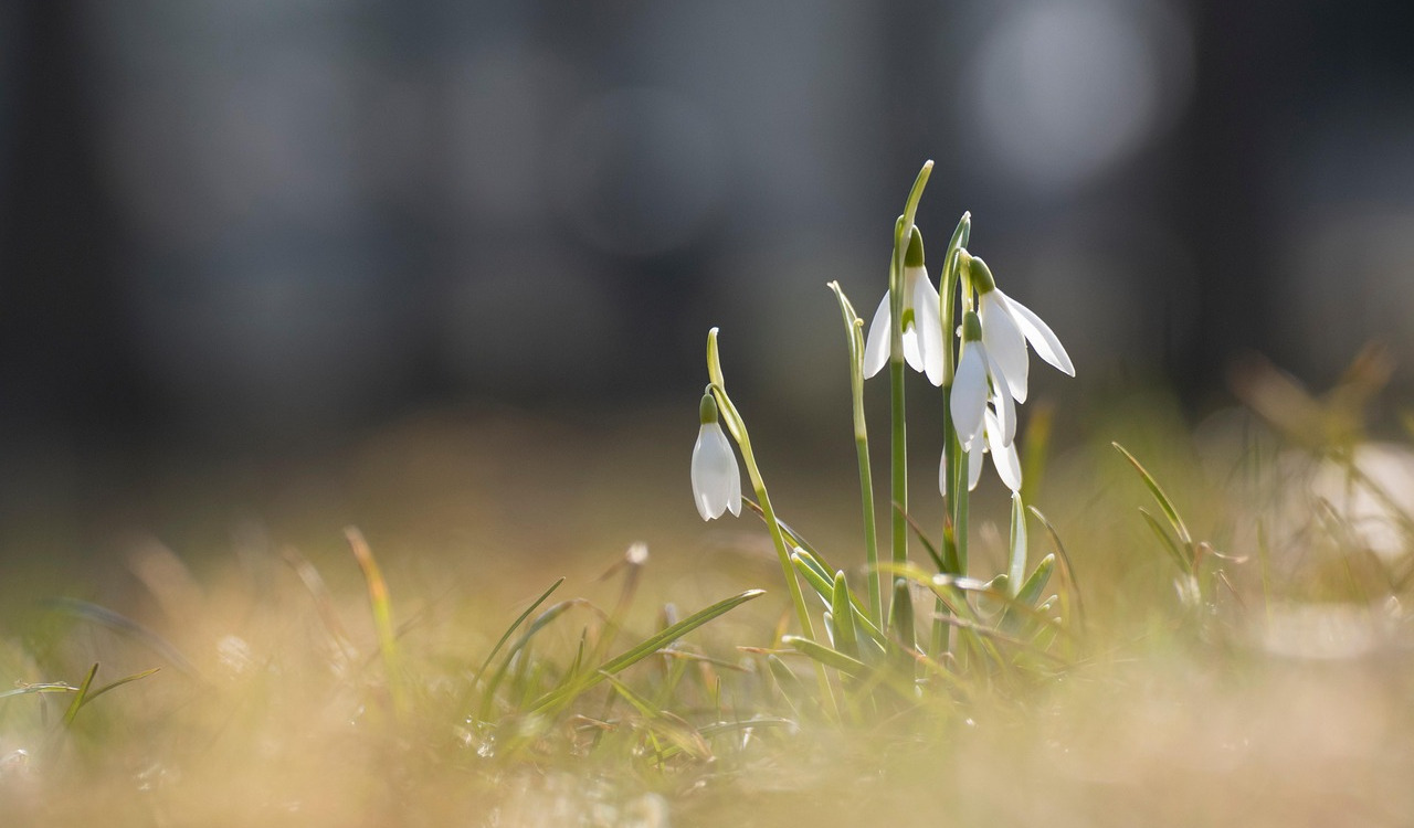 Release 4.49 -  Arbeitsvertrag für die Mitarbeiter