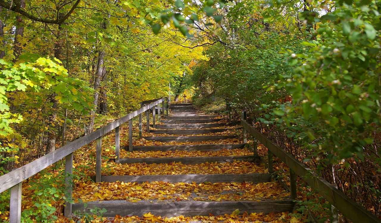 Release 4.35 - Verordnung außerklinische Intensivpflege, Neue Leistungsarten, ...