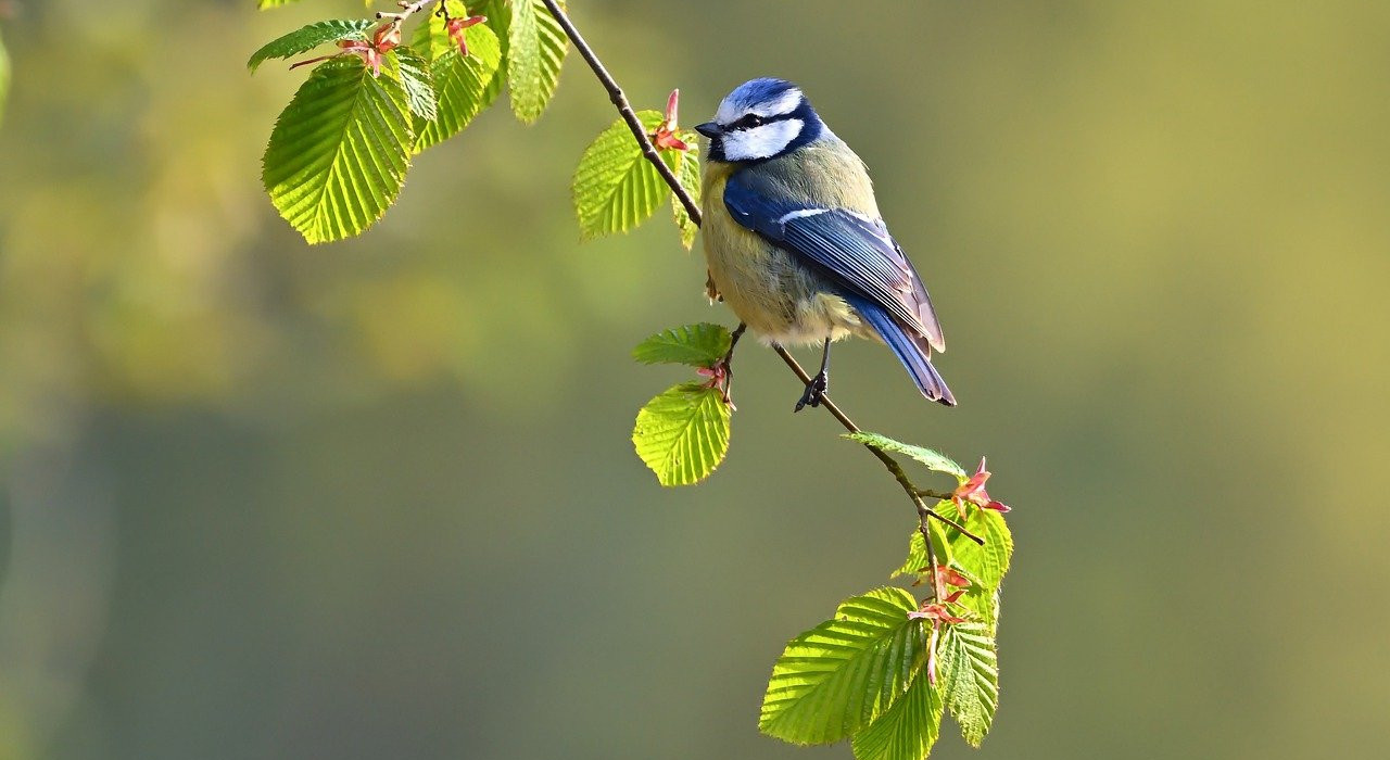 Release 4.32 - Serienmail, Teamzuordnung, Tourenplan