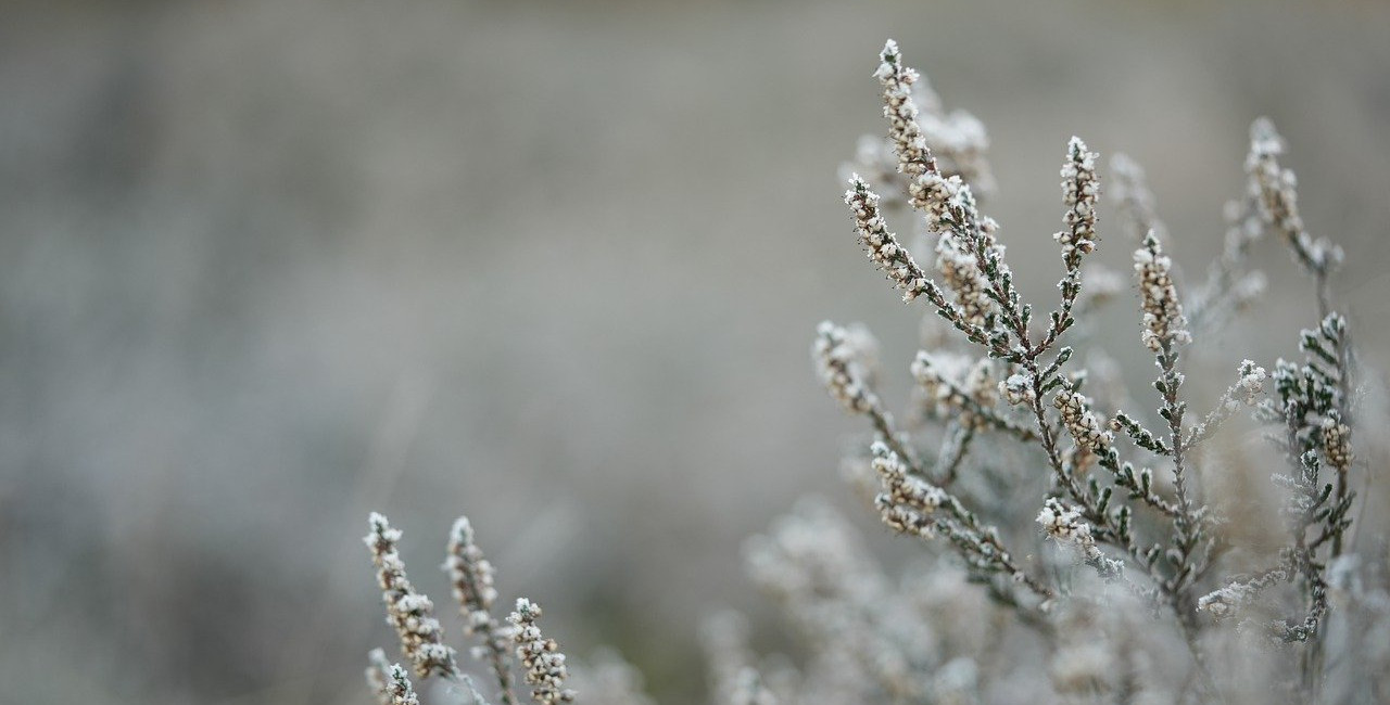 Release 4.36 - DTA-Abrechnung, IK-Nummer, neue Leistungsart,..