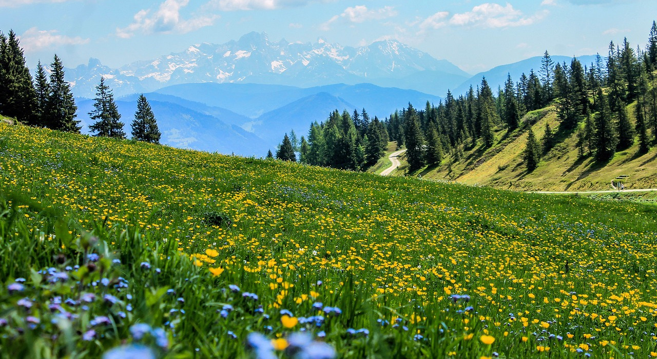 Release 4.39 - Investitionskosten, Anpassung der Software an individuelle Bedürfnisse
