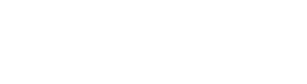dealSoft